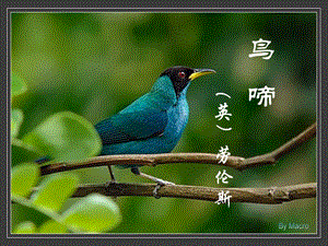 高中語(yǔ)文 第一專題 鳥啼課件 蘇教版必修2.ppt