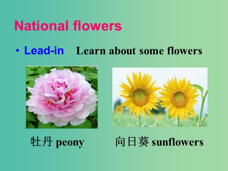 高中英语 Unit3 The meaning of colour Word power课件 牛津译林版选修9.ppt_第3页