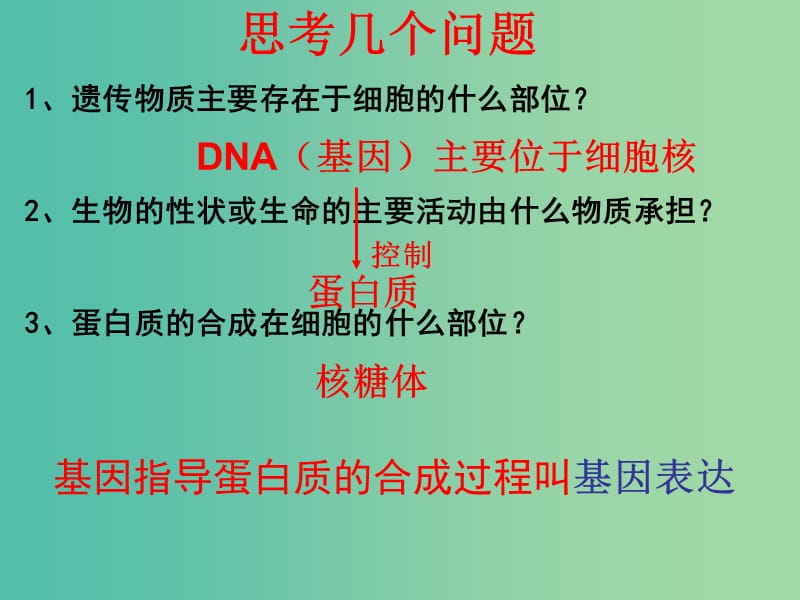 高中生物 4.1 基因指导蛋白质的合成课件 新人教版必修2.ppt_第2页