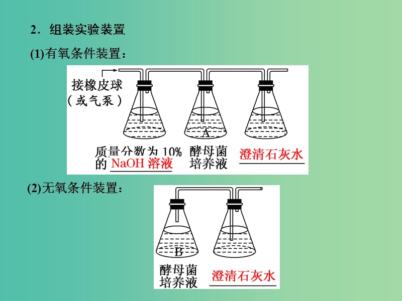 高中生物第5章细胞的能量供应和利用第3节ATP的主要来源--细胞呼吸课件新人教版.ppt_第3页