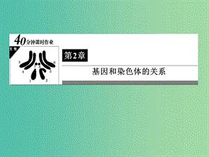 高中生物 第2章 基因和染色體的關(guān)系 第一節(jié)《基因在染色體上》課件 新人教版必修2.ppt