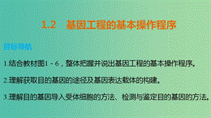 高中生物 專題一 基因工程 1.2 基因工程的基本操作程序課件 新人教版選修3.ppt