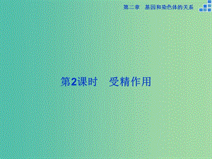 高中生物 第二章 基因和染色體的關系 第1節(jié) 減數(shù)分裂和受精作用（第2課時）受精作用課件 新人教版必修2.ppt