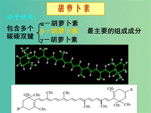 高中生物 專題六 課題2 胡蘿卜素的提取（第2課時(shí)）課件 新人教版選修1.ppt