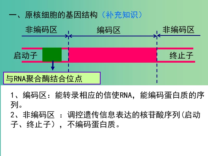 高中生物 专题1 第2节 基因工程的基本工作程序课件 新人教版选修3.ppt_第2页