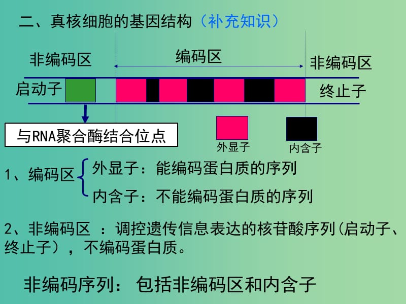 高中生物 专题1 第2节 基因工程的基本工作程序课件 新人教版选修3.ppt_第3页