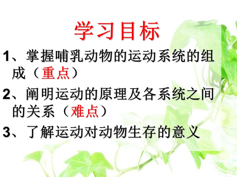 《动物的运动》PPT课件.ppt_第2页