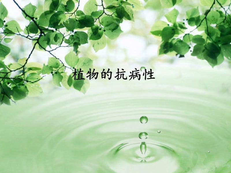 《植物的抗病性》PPT课件.ppt_第1页