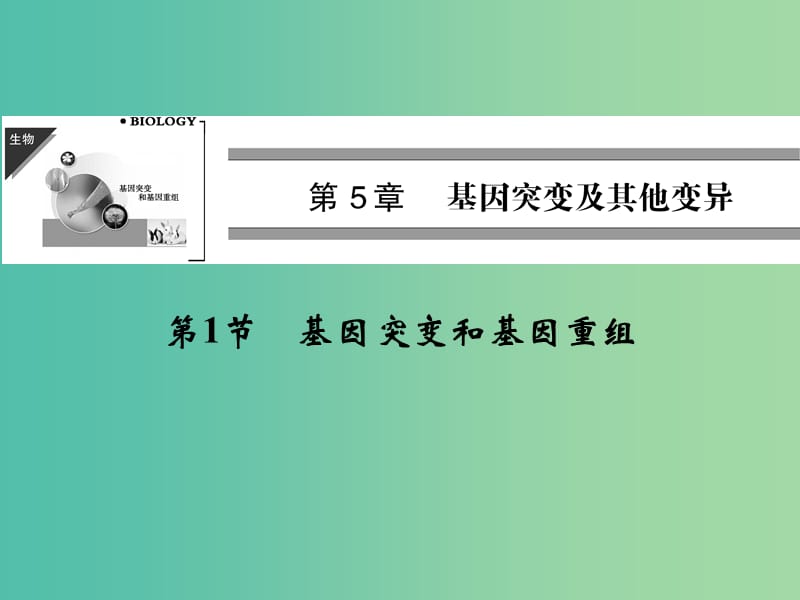 高中生物 5.1基因突变和基因重组课件 新人教版必修2.ppt_第1页