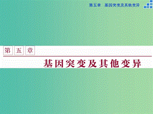 高中生物 第五章 基因突變及其他變異 第1節(jié) 基因突變和基因重組課件 新人教版必修2.ppt