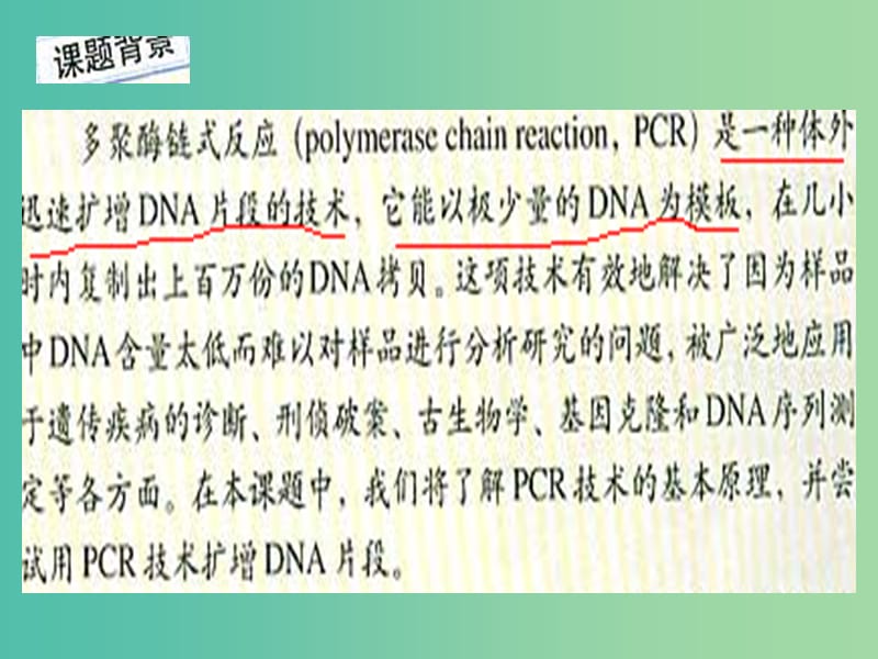 高中生物 专题5 课题2 多聚酶链式反应扩增DNA课件 新人教版选修1.ppt_第3页