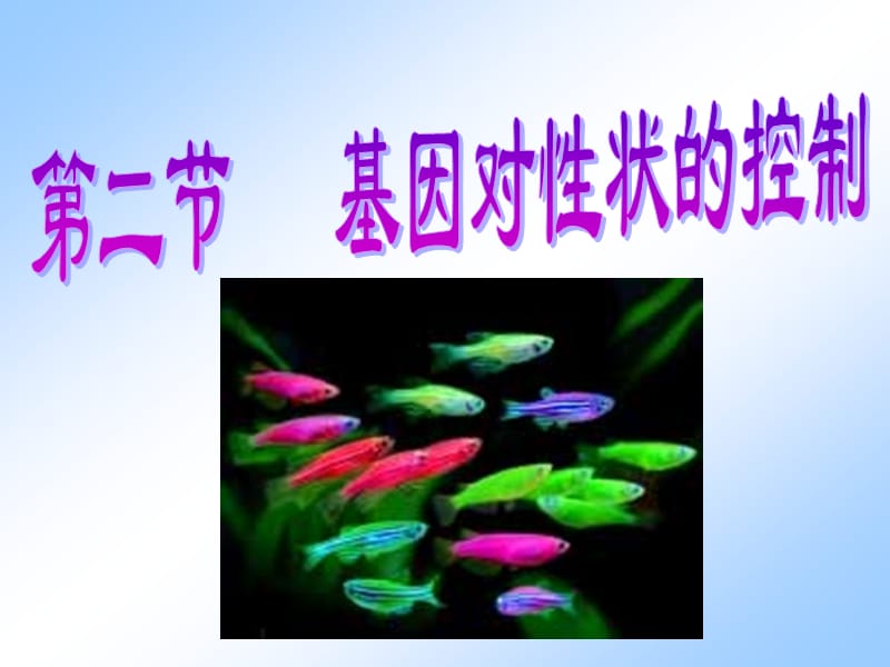 《基因对性状的控制》PPT课件.ppt_第1页