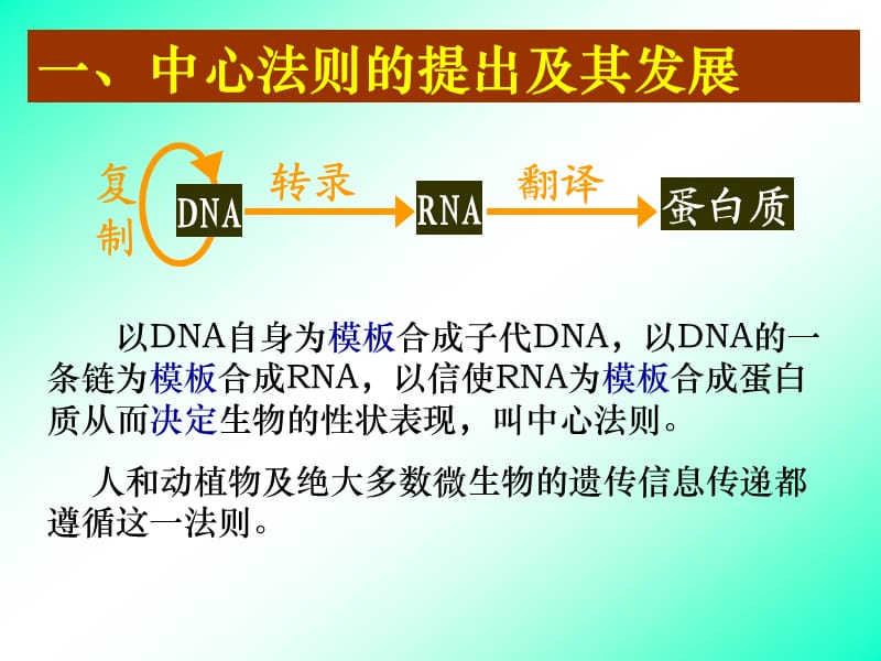 《基因对性状的控制》PPT课件.ppt_第3页