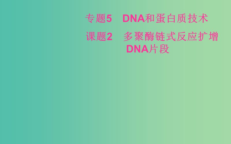 高中生物 专题5 课题2 多聚酶链式反应扩增DNA片段课件 新人教版选修1.ppt_第2页