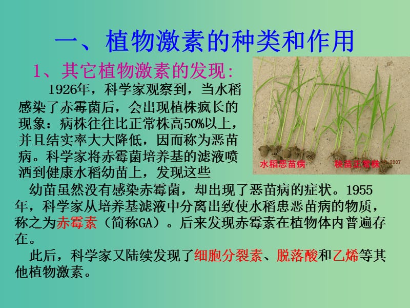 高中生物 第三章 第三节 其它植物激素课件 新人教版必修3.ppt_第2页