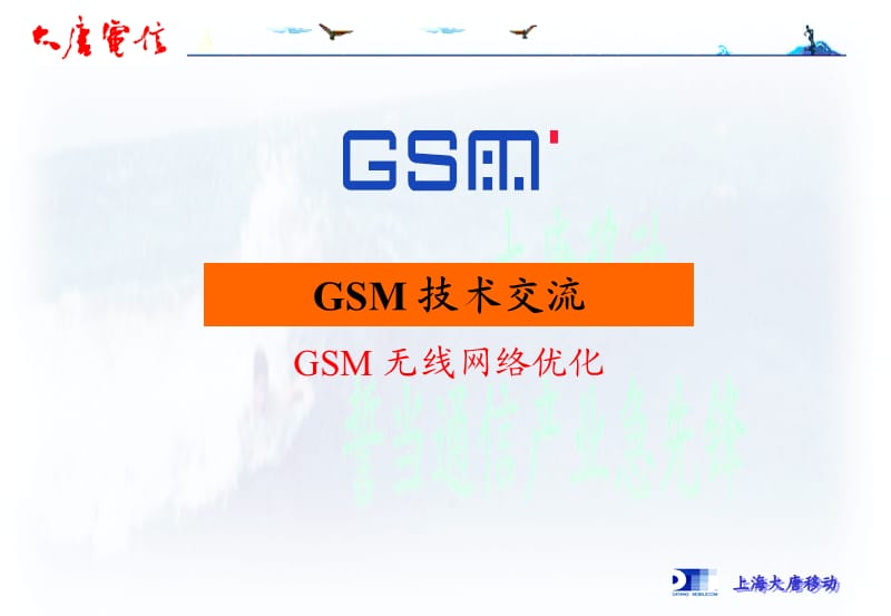 GSM无线网络优化及详细信道解释.ppt_第1页