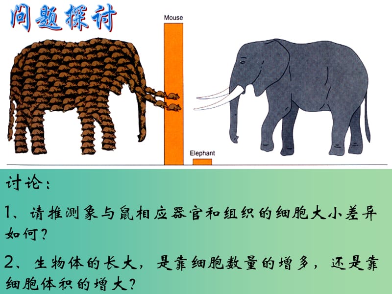 高中生物 6.1细胞增殖课件 新人教版必修1.ppt_第2页