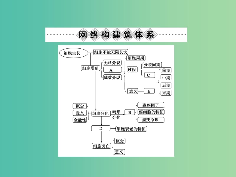 高中生物 第6章 细胞的生命历程章末整合与评估课件 新人教版必修1.ppt_第3页