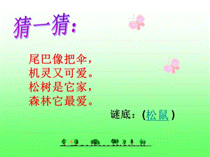 《松鼠和松果》PPT課件.ppt