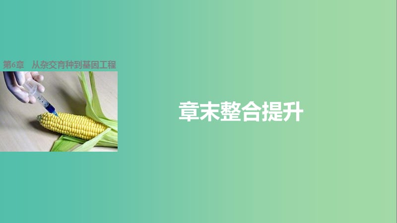 高中生物 第6章 从杂交育种到基因工程章末整合提升课件 新人教版必修2.ppt_第1页