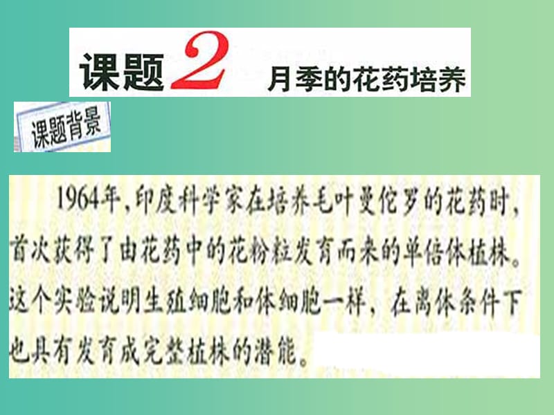 高中生物 专题3 课题2 月季的花药培养课件 新人教版选修1.ppt_第1页