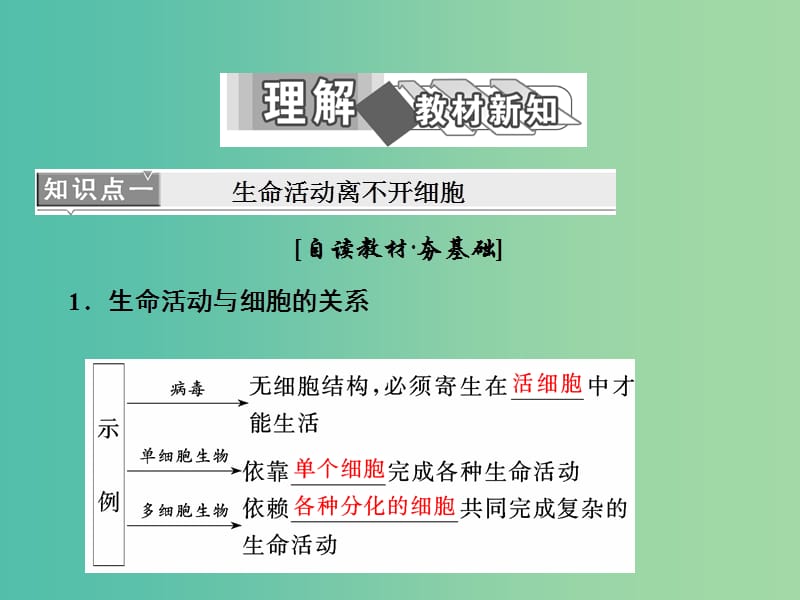 高中生物第1章走近细胞第1节从生物圈到细胞课件新人教版.ppt_第3页