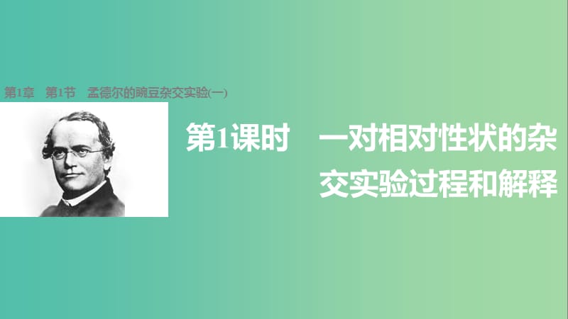 高中生物 1.1.1 一对相对性状的杂交实验过程和解释课件 新人教版必修2.ppt_第1页