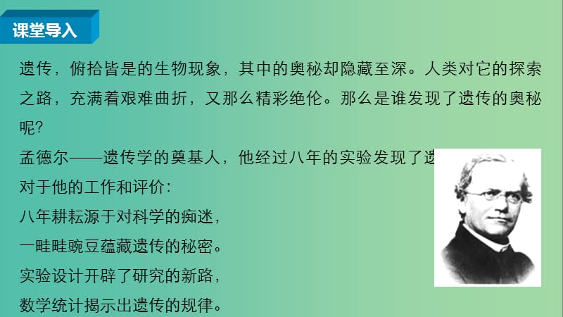 高中生物 1.1.1 一对相对性状的杂交实验过程和解释课件 新人教版必修2.ppt_第3页