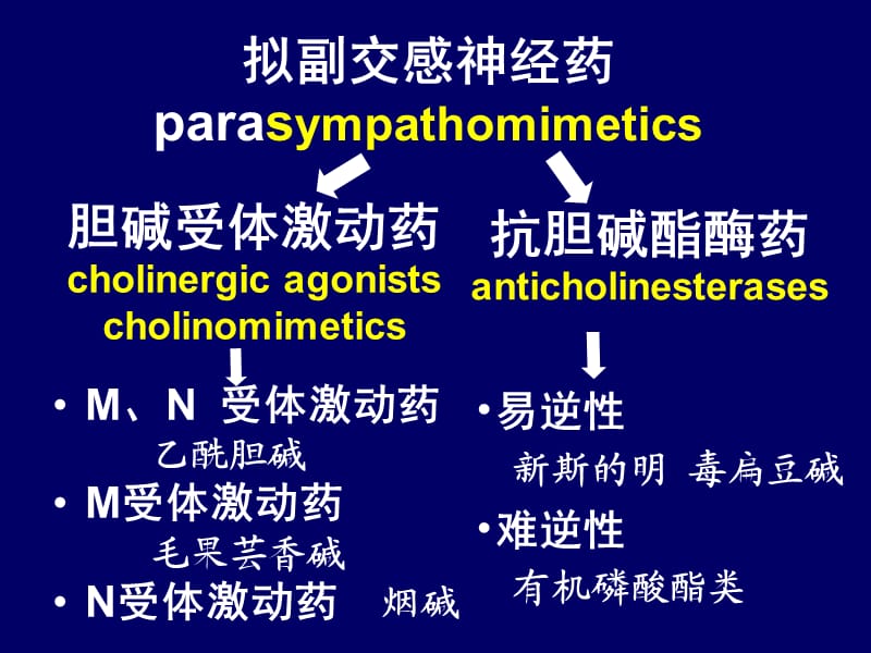 《拟副交感神经药》PPT课件.ppt_第2页