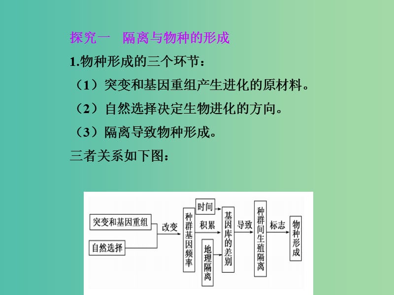 高中生物 第7章 现代生物进化理论 第3节 现代生物进化理论的主要内容（二 ）课件 新人教版必修2.ppt_第3页