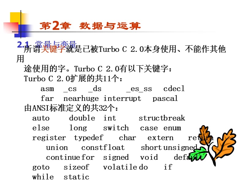 《二级C语言程序设计》第2章数据与运算.ppt_第3页