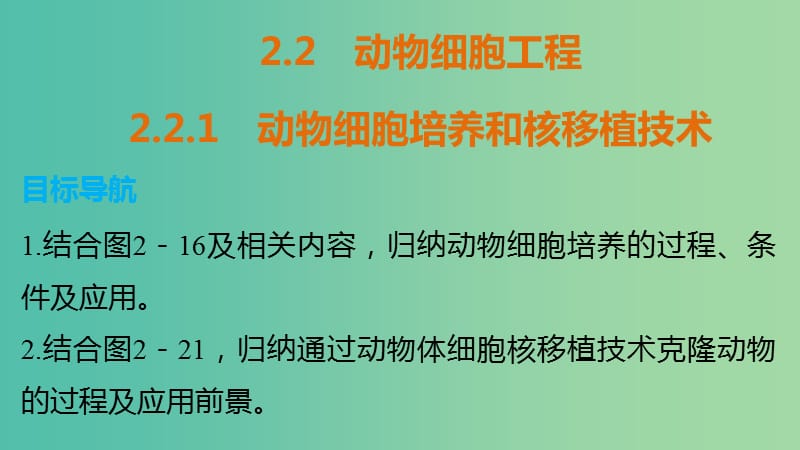 高中生物 专题二 细胞工程 2.2.1 动物细胞培养和核移植技术课件 新人教版选修3.ppt_第1页