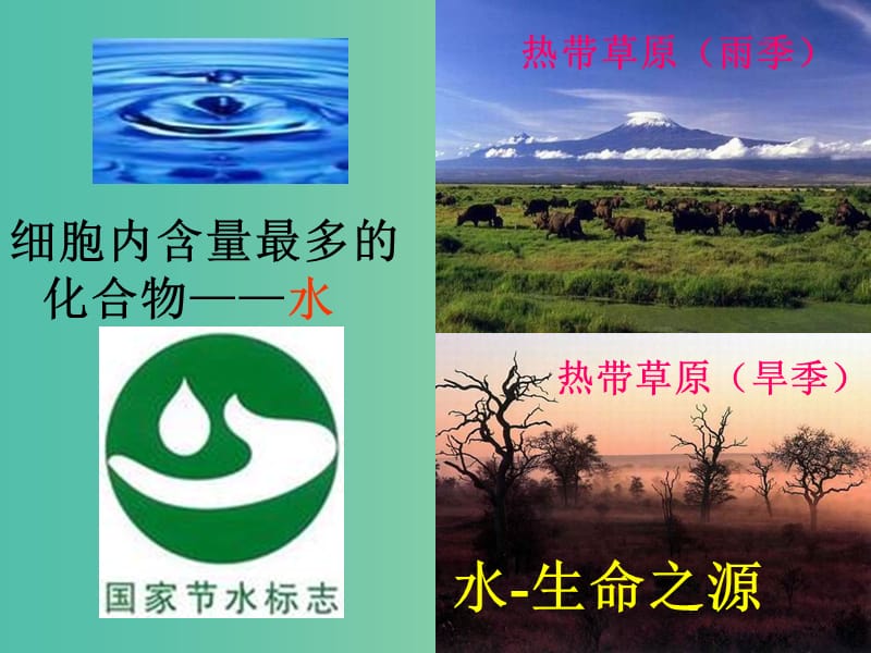 高中生物 2.5 细胞中的无机物课件 新人教版必修1.ppt_第3页