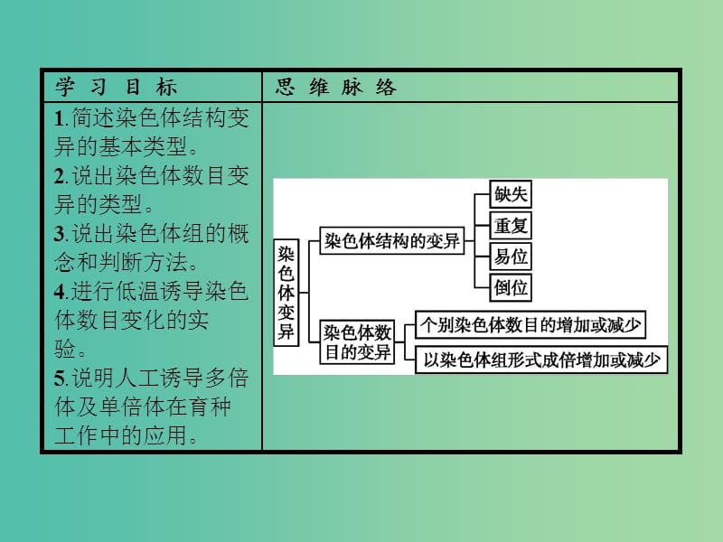 高中生物 5.2 染色体变异课件 新人教版.ppt_第2页