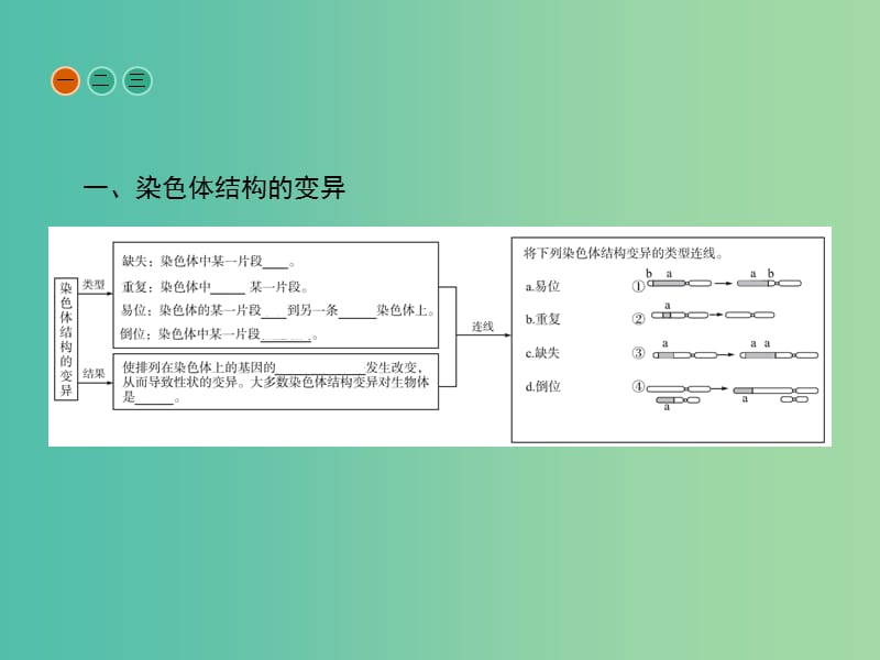 高中生物 5.2 染色体变异课件 新人教版.ppt_第3页