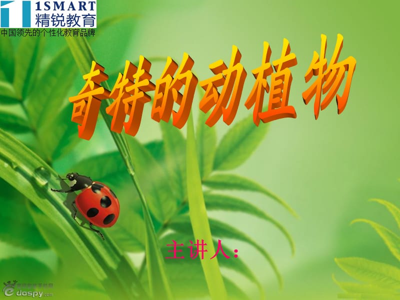 《奇特的动植物》PPT课件.ppt_第1页