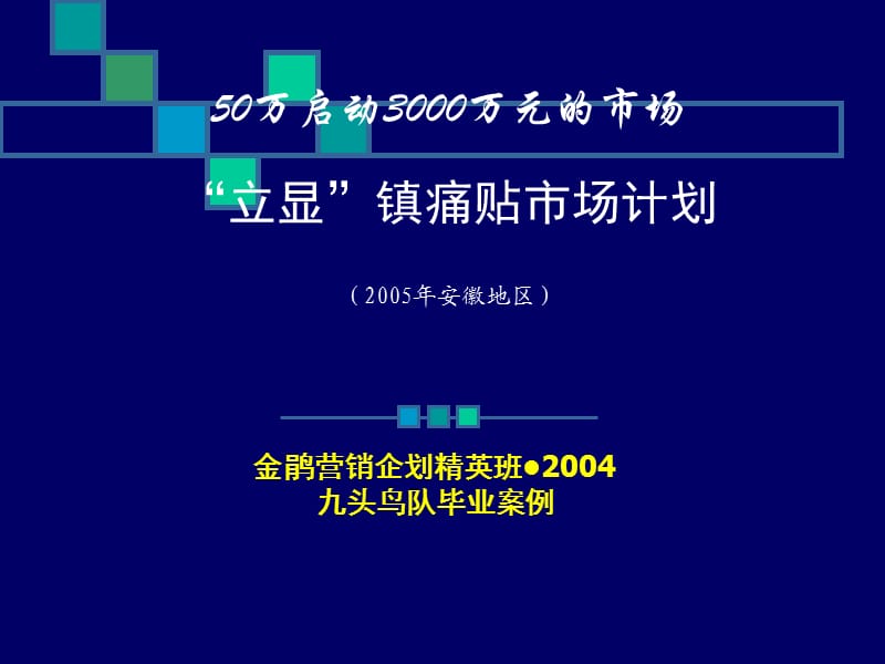 “立显”镇痛贴市场计划.ppt_第1页