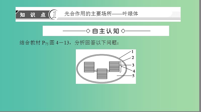 高中生物 第4章 光合作用和细胞呼吸 第2节 光合作用（第2课时）光合作用的过程课件 苏教版必修1.ppt_第3页