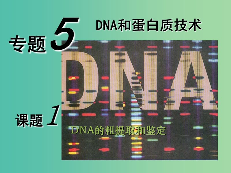 高中生物《DNA的粗提取与鉴定》课件 新人教版选修1.ppt_第1页