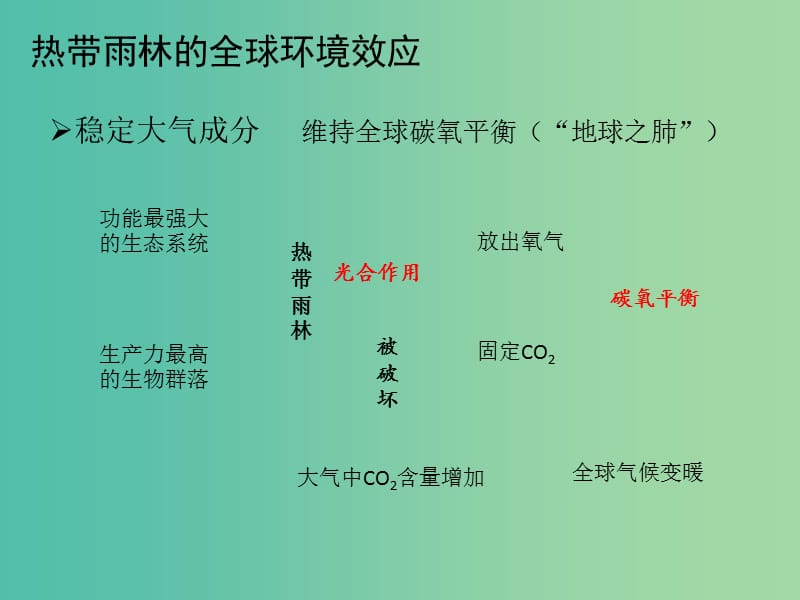 高中地理 2.2 森林的开发和保护 以亚马孙热带雨林为例课件 新人教版必修3.ppt_第3页