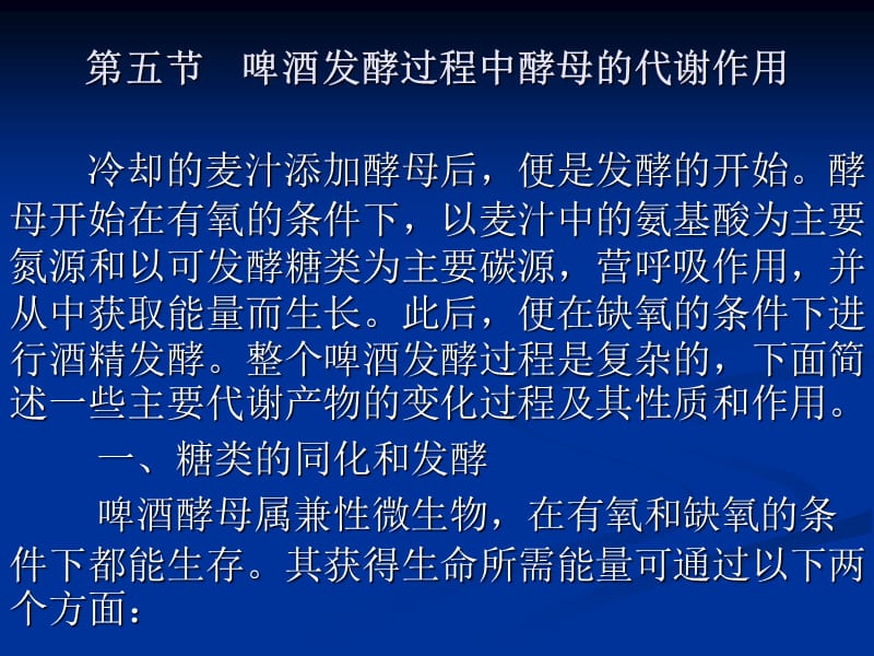 《啤酒发酵过》PPT课件.ppt_第1页