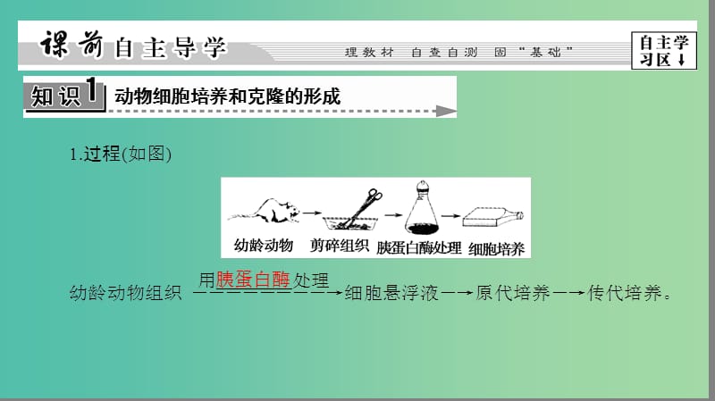 高中生物第二章克隆技术第3节动物的克挛件浙科版.ppt_第3页