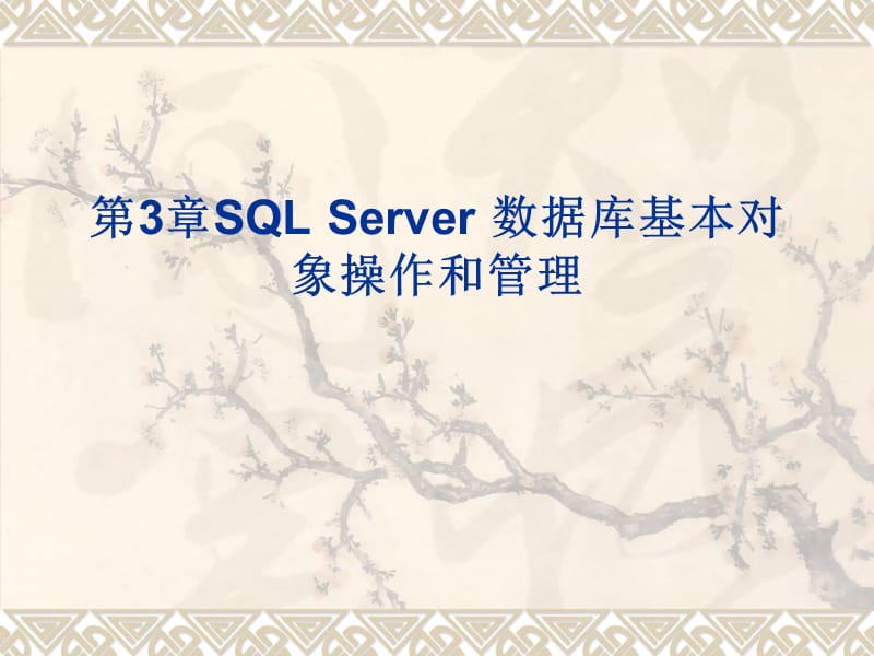 SQLServer数据库基本对象操作和管理.ppt_第1页