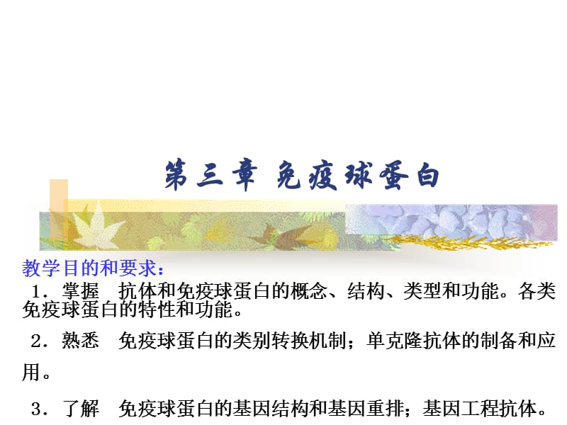 《免疫球蛋白》PPT课件.ppt_第1页