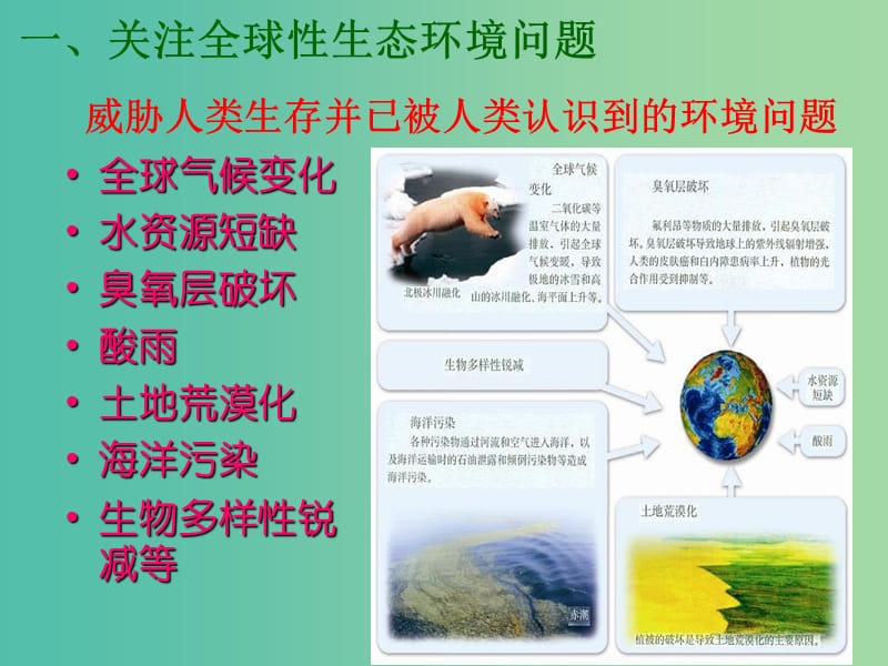 高中生物 第六章 第二节 保护我们共同的家园课件 新人教版必修3.ppt_第2页