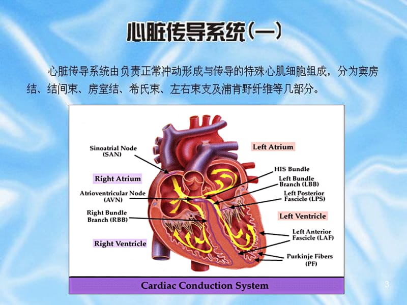 常见异常心电图诊断ppt课件_第3页