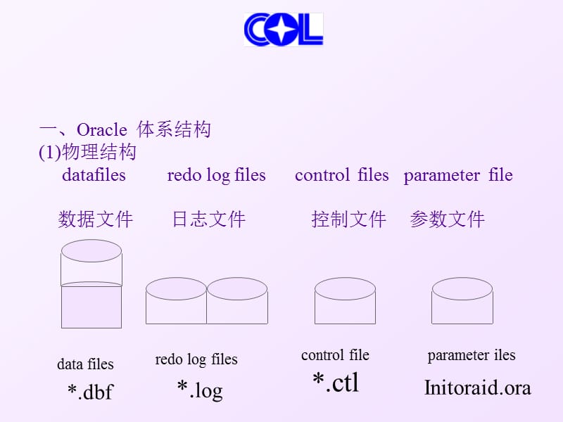 ORACLE数据库入门策略.ppt_第2页