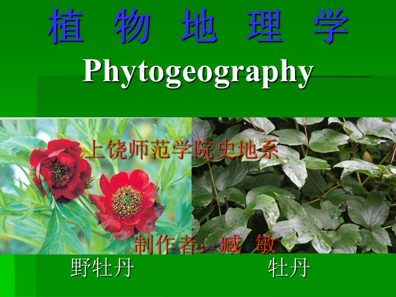 《植物地理学引言》PPT课件.ppt_第1页