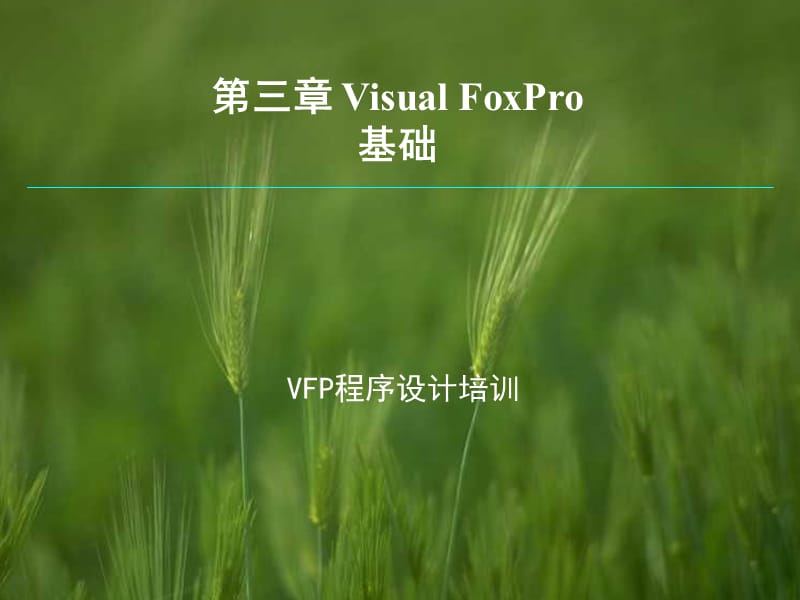 《VisualFoxPro基础》PPT课件.ppt_第1页