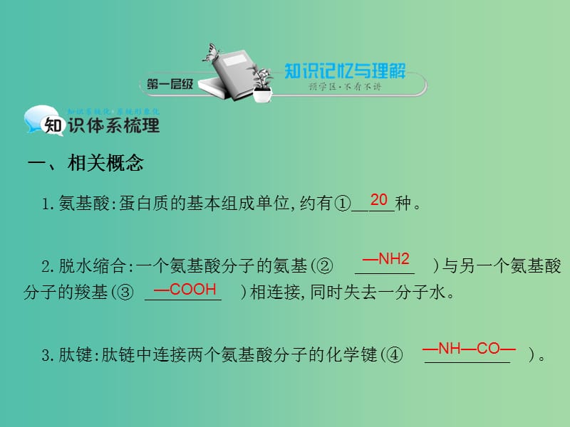 高中生物 第2章 第2节 生命活动的主要承担着-蛋白质课件 新人教版必修1.ppt_第3页